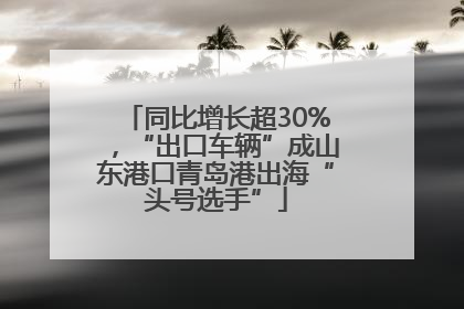 同比增长超30%，“出口车辆”成山东港口青岛港出海“头号选手”