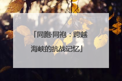同胞·同袍：跨越海峡的抗战记忆