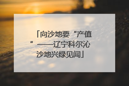 向沙地要“产值”——辽宁科尔沁沙地兴绿见闻