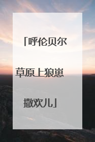 呼伦贝尔草原上狼崽撒欢儿