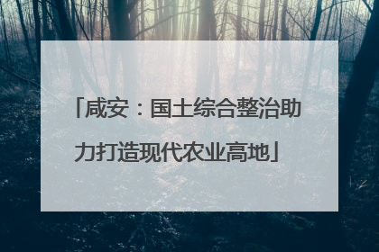 咸安：国土综合整治助力打造现代农业高地