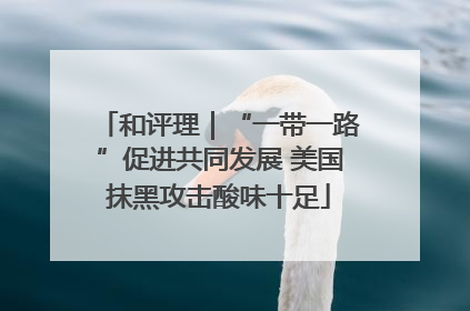 和评理｜“一带一路”促进共同发展 美国抹黑攻击酸味十足