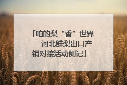 咱的梨“香”世界——河北鲜梨出口产销对接活动侧记