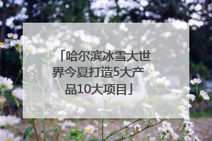 哈尔滨冰雪大世界今夏打造5大产品10大项目