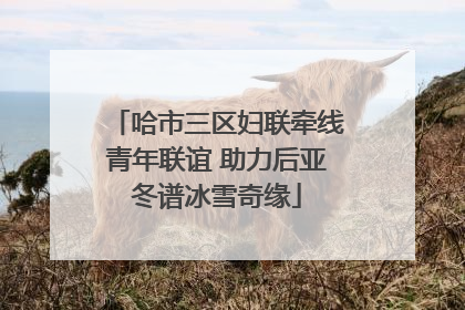 哈市三区妇联牵线青年联谊 助力后亚冬谱冰雪奇缘