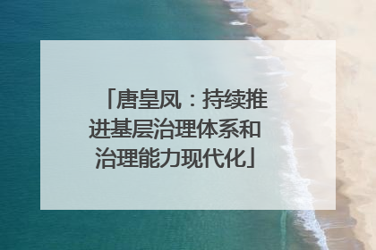 唐皇凤：持续推进基层治理体系和治理能力现代化