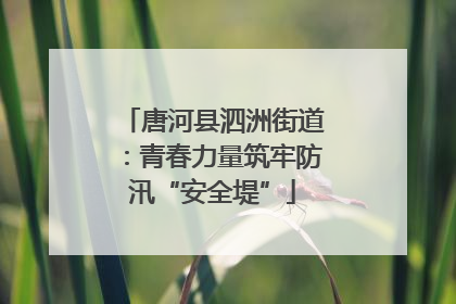 唐河县泗洲街道：青春力量筑牢防汛“安全堤”