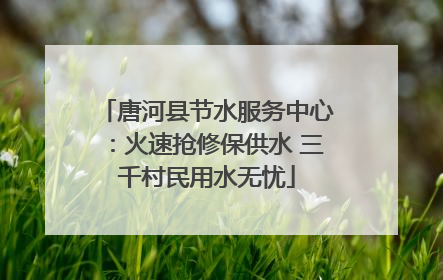 唐河县节水服务中心：火速抢修保供水 三千村民用水无忧