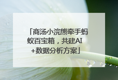 商汤小浣熊牵手蚂蚁百宝箱，共建AI+数据分析方案