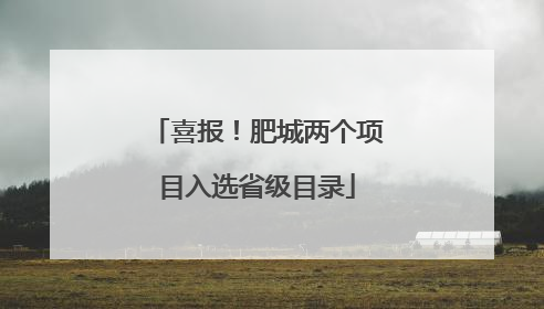 喜报！肥城两个项目入选省级目录
