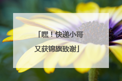嘿！快递小哥又获锦旗致谢