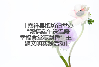 嘉祥县纸坊镇举办“浓情端午送温暖 幸福食堂粽飘香”主题文明实践活动