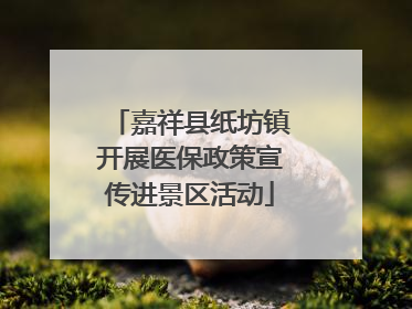 嘉祥县纸坊镇开展医保政策宣传进景区活动