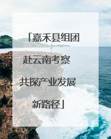 嘉禾县组团赴云南考察 共探产业发展新路径