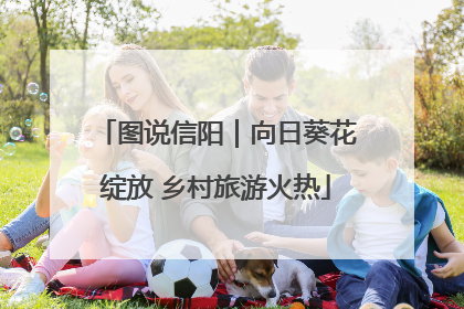 图说信阳｜向日葵花绽放 乡村旅游火热