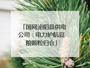 国网泌阳县供电公司：电力护航夏粮颗粒归仓