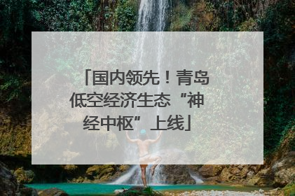 国内领先！青岛低空经济生态“神经中枢”上线