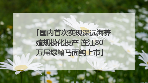 国内首次实现深远海养殖规模化投产 连江80万尾绿鳍马面鲀上市