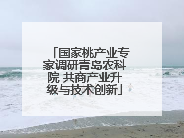 国家桃产业专家调研青岛农科院 共商产业升级与技术创新
