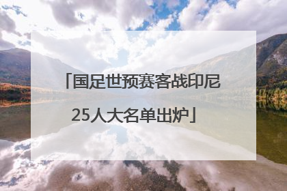 国足世预赛客战印尼25人大名单出炉