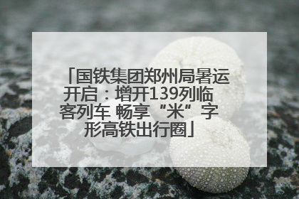 国铁集团郑州局暑运开启：增开139列临客列车 畅享“米”字形高铁出行圈