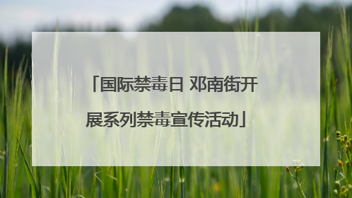国际禁毒日 邓南街开展系列禁毒宣传活动