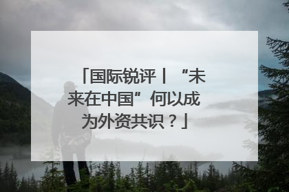国际锐评丨“未来在中国”何以成为外资共识？