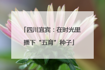 四川宜宾：在时光里播下“五育”种子