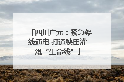 四川广元：紧急架线通电 打通秧田灌溉“生命线”