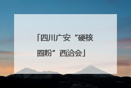 四川广安“硬核圈粉”西洽会