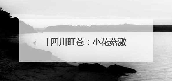 四川旺苍：小花菇激发致富大“蘑力”