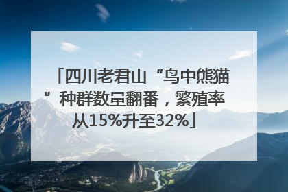 四川老君山“鸟中熊猫”种群数量翻番，繁殖率从15%升至32%