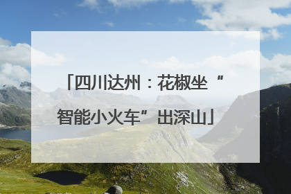 四川达州：花椒坐“智能小火车”出深山