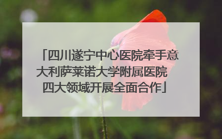 四川遂宁中心医院牵手意大利萨莱诺大学附属医院 四大领域开展全面合作