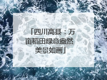 四川高县：万亩稻田绿意盎然 美景如画