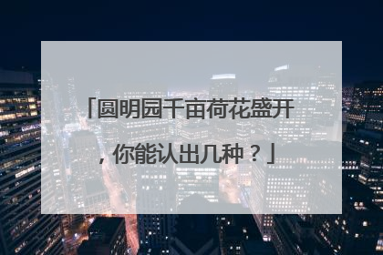 圆明园千亩荷花盛开，你能认出几种？