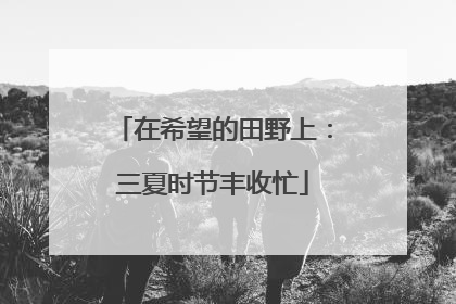 在希望的田野上：三夏时节丰收忙