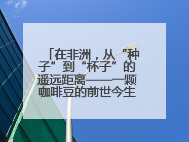 在非洲，从“种子”到“杯子”的遥远距离——一颗咖啡豆的前世今生（三）