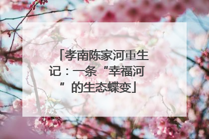 孝南陈家河重生记：一条“幸福河”的生态蝶变