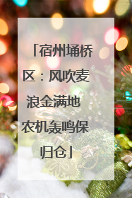 宿州埇桥区：风吹麦浪金满地 农机轰鸣保归仓