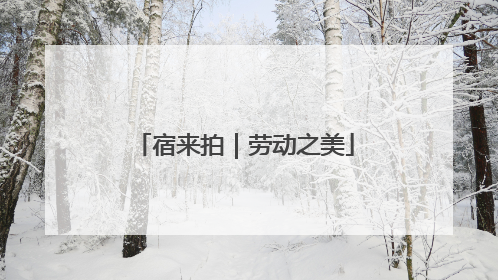 宿来拍｜劳动之美