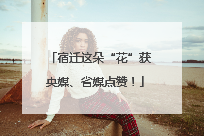 宿迁这朵“花”获央媒、省媒点赞！