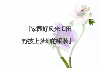 家园好风光 ⎮田野披上梦幻的银装