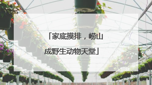 家底摸排，崂山成野生动物天堂