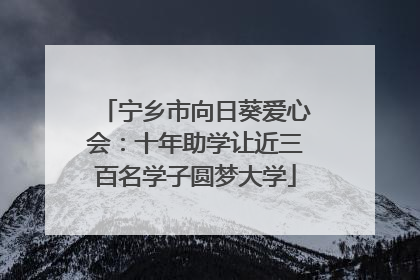 宁乡市向日葵爱心会：十年助学让近三百名学子圆梦大学
