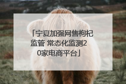 宁夏加强网售枸杞监管 常态化监测20家电商平台