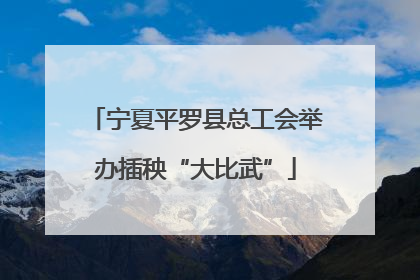 宁夏平罗县总工会举办插秧“大比武”