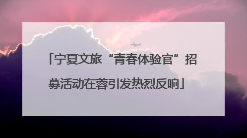 宁夏文旅“青春体验官”招募活动在蓉引发热烈反响