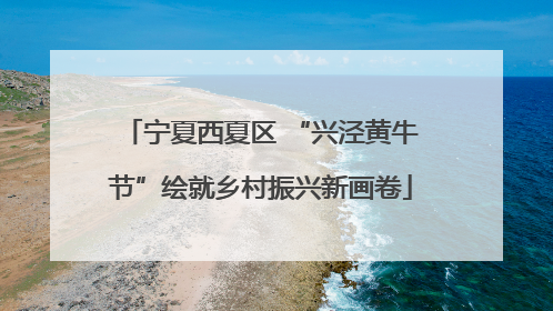 宁夏西夏区 “兴泾黄牛节”绘就乡村振兴新画卷