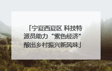宁夏西夏区 科技特派员助力“紫色经济”酿出乡村振兴新风味